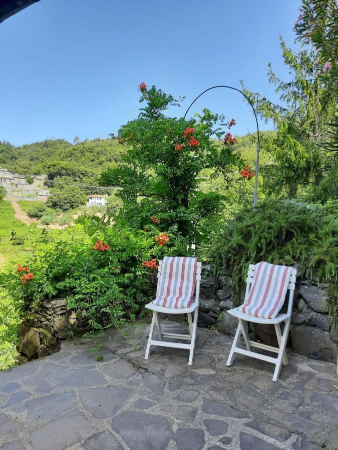 Cà gialla de Drignana Vernazza Exterior foto