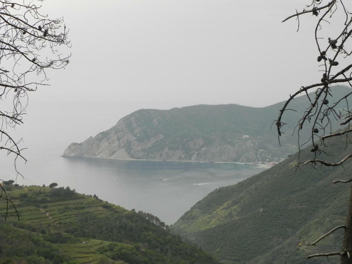 Cà gialla de Drignana Vernazza Exterior foto